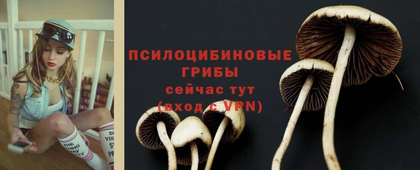 гидра Остров
