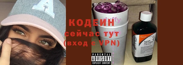 сатива Осинники