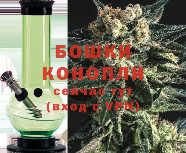 сатива Осинники