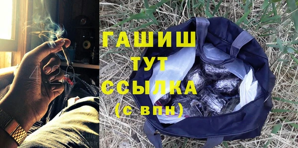 сатива Осинники
