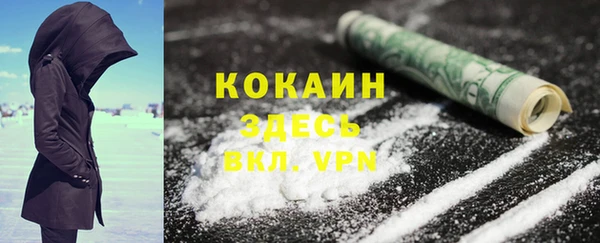 сатива Осинники