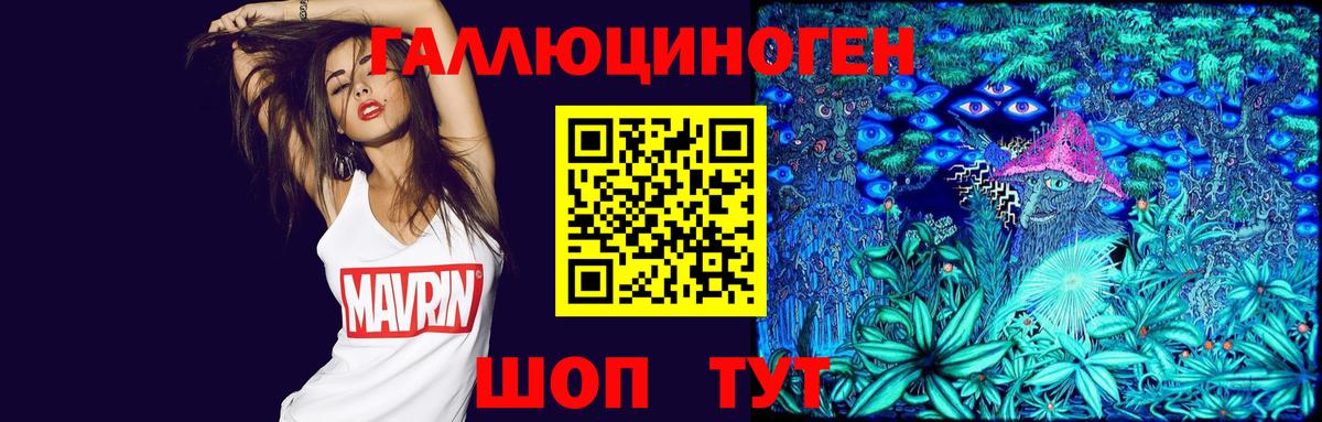 Псилоцибиновые грибы Psilocybine cubensis  Апатиты  Псилоцибиновые грибы мицелий 