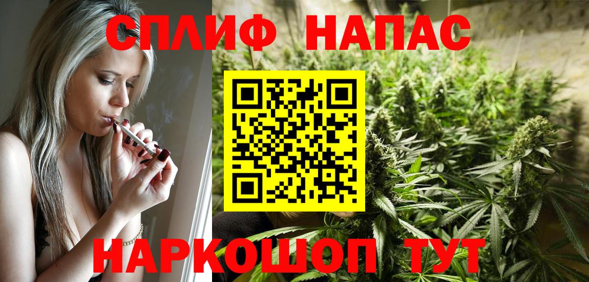 Каннабис OG Kush Апатиты